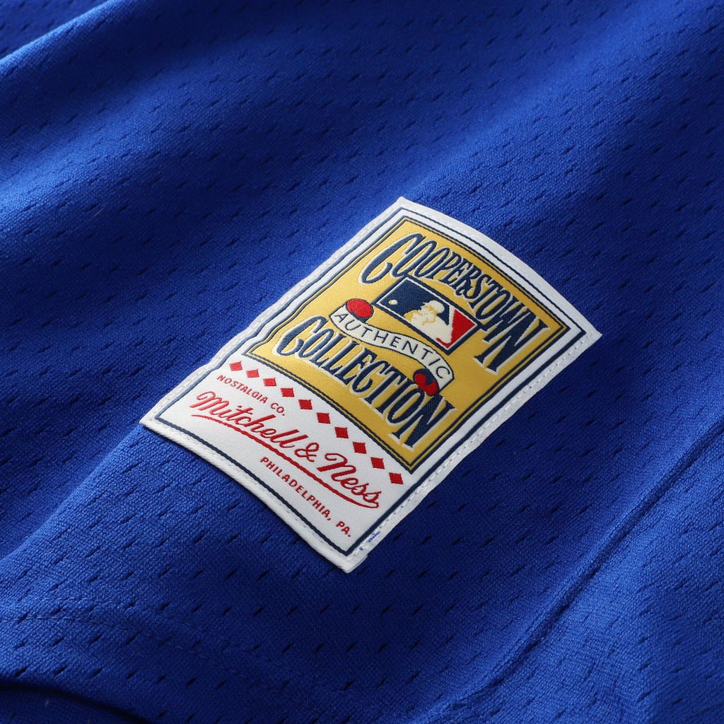 Atlanta Braves Mitchell & Ness Royal Authentic Baseball Jersey