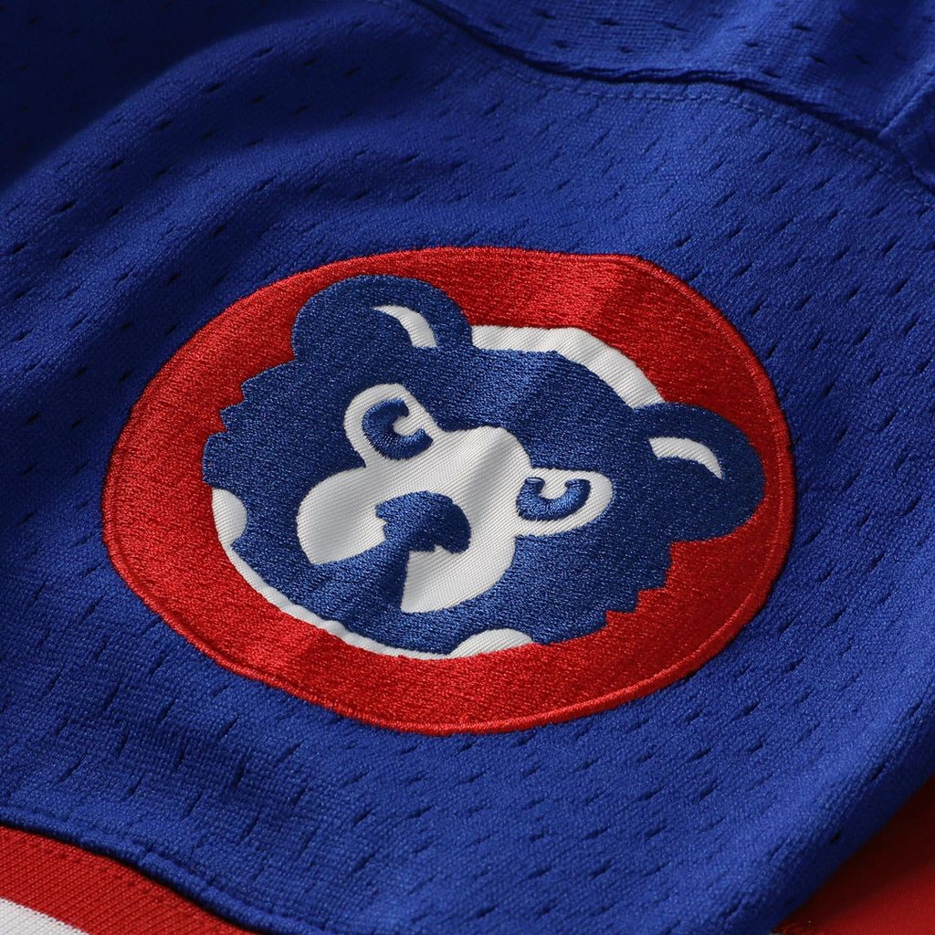 Chicago Cubs Mitchell & Ness Royal Baseball Jersey