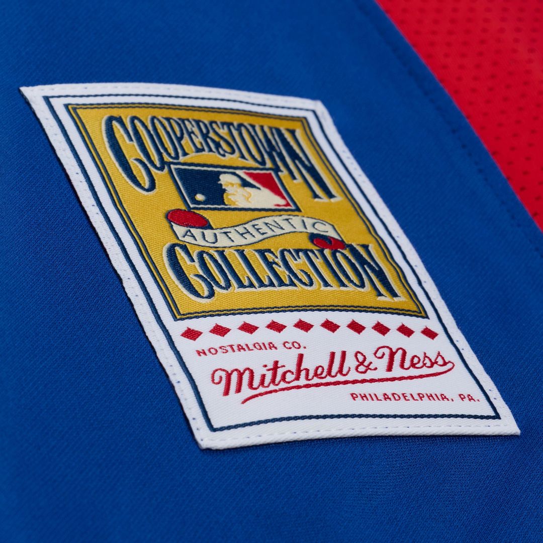 Texas Rangers Mitchell & Ness Royal Baseball Jersey