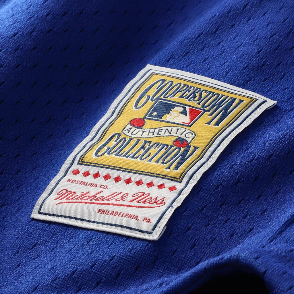 Chicago Cubs Mitchell & Ness Royal Baseball Jersey