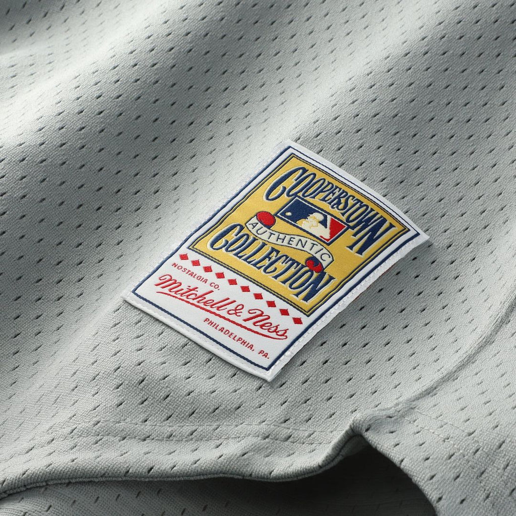 San Francisco Giants Mitchell & Ness Gray Authentic Baseball Jersey